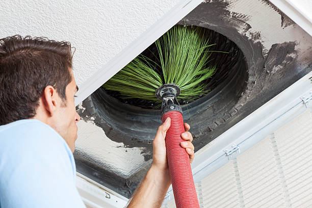 Air Duct Mold Removal in Garnet, CA